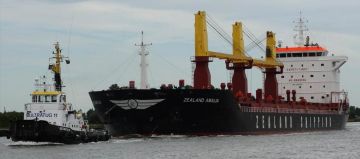 ZEALAND AMALIA